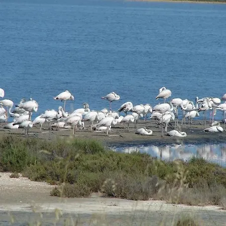 Daire Les Pesquiers Hyères