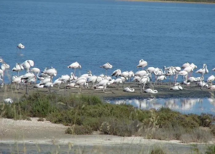 Daire Les Pesquiers Hyères